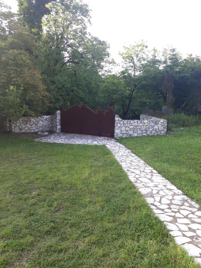 House At The Forest / Სახლი Ტყის Პირას Gordi Dış mekan fotoğraf